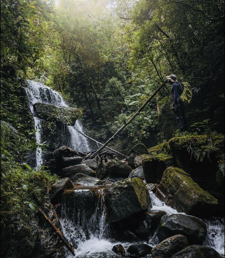 Vegan Adventure Trails